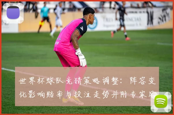 世界杯球队竞猜策略调整：阵容变化影响赔率与投注走势并附专家风险提示