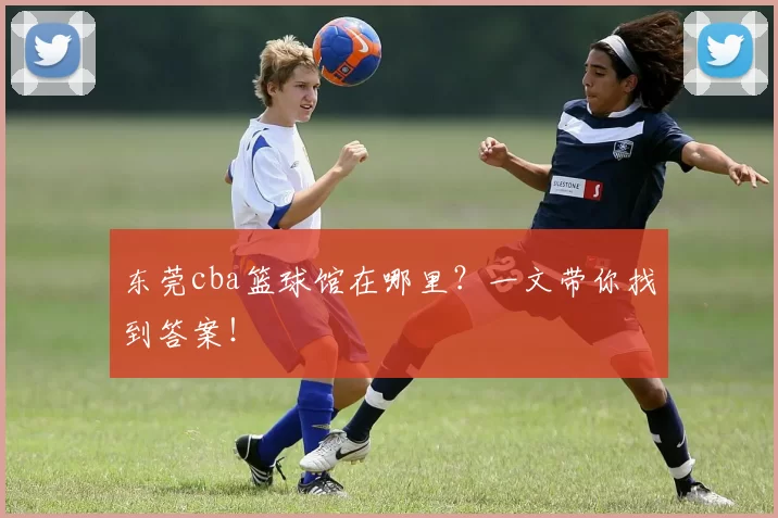 东莞cba篮球馆在哪里？一文带你找到答案！