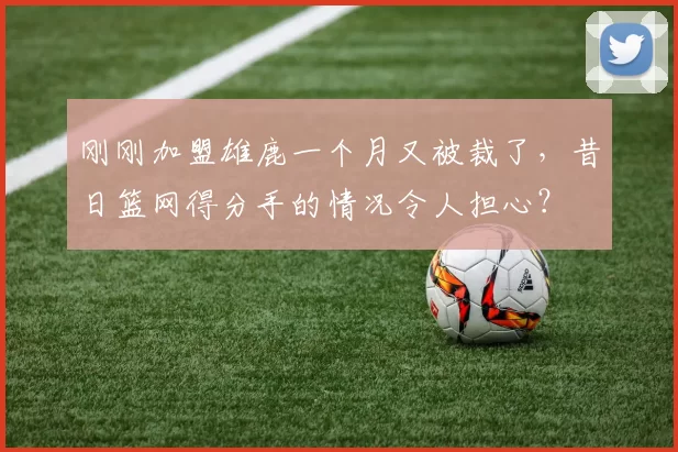 刚刚加盟雄鹿一个月又被裁了，昔日篮网得分手的情况令人担心？