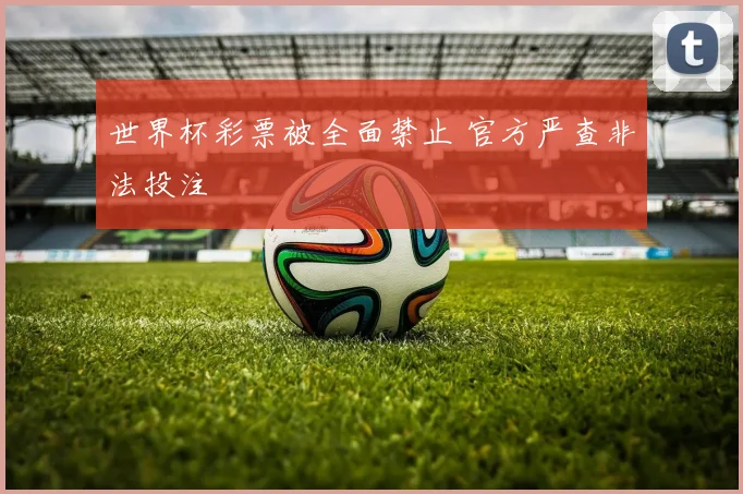 世界杯彩票被全面禁止 官方严查非法投注